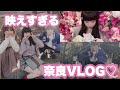 男女で奈良観光♡食べ比べイベントに行ってきた！【赤緑合戦】