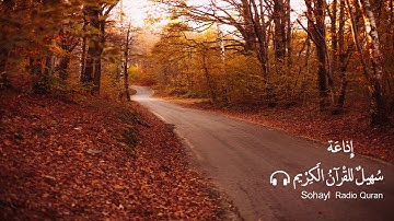 تـلاوة مؤثرة سورة  الزمر يتلوها القارئ | اسلام صبحي