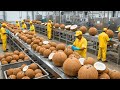Inside Virgin Coconut Oil Processing: The 6 Hour Rule That Changes Everything