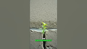 Quantum Computer SOLVES Equations in MINUTES! Mind-blowing! #shorts