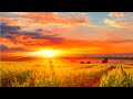 Soft Healing Morning Music 432Hz 💖 Destroy Anxiety, Depression & Bad Vibes