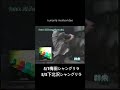 ルーマニアモンテビデオライブ20265/1梅田シャングリラ19:00開演&yen;55005/5下北沢シャングリラ17:00開演&yen;5500