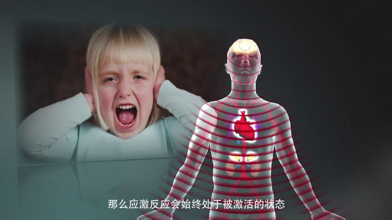 developmental Toxic Stress Derails Healthy Development (Mandarin subtitles)