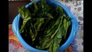 Зеленые щи для зимы Зеленые щи для зимы
