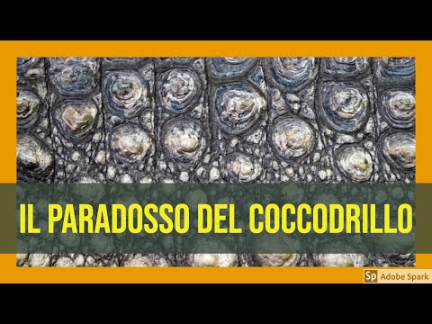 Video: Il Paradosso Del Viaggiatore - Alla Ricerca Di Elefanti E Autenticità - Matador Network