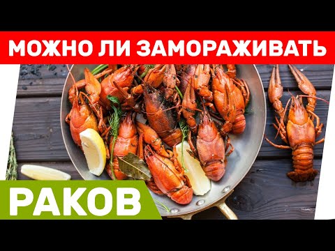 Можно ли замораживать раков