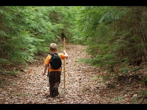 Video: Mihin Ihmiset Katoavat - Vaihtoehtoinen Näkymä