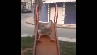 Datacode Division - Fear Lines