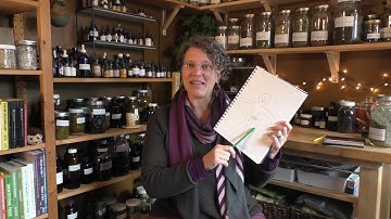 Herbalism With Kids: Herbal Body Maps