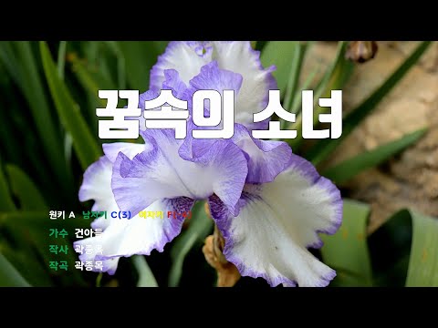 [은성 반주기] 꿈속의소녀 - 건아들