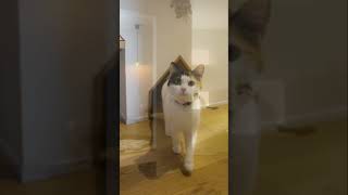 家づくりのことどこまで考えられていますか個別相談会開催中です