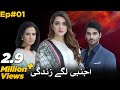 Ajnabi Lage Zindagi | Full Episode 1 | 23 November 2020 | LTN Family