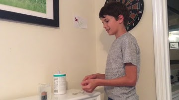 Apologia physical science experiment, 4.1