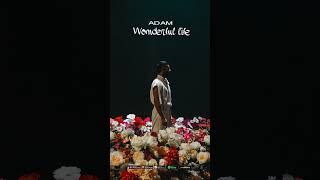 Adam | Wonderful Life | Премьера  #Adam #Music #Zhurek #Rek #Всепесни #Remix #Душамоейдуши