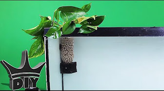 HOW TO BUILD Aquarium filters