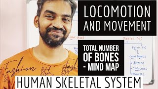Number of bones | Human skeletal system | Locomotion and movement