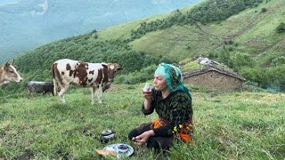 Daily Life in the Mountains of Iran as a Alone Nomad Shepherd Woman