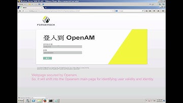 Openam Authorization introduction