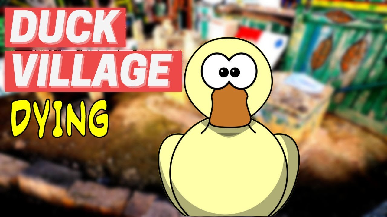 Duck Village Malta in Manoel Island Dying
