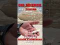 Did Science Just Confirm The Bible Exploring Sodom Gomorrah Ruins Holylanduncovered History Did Science Just Confirm The Bible Exploring Sodom Gomorrah Ruins Holylanduncovered History