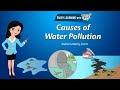 Water Pollution Causes Quiz