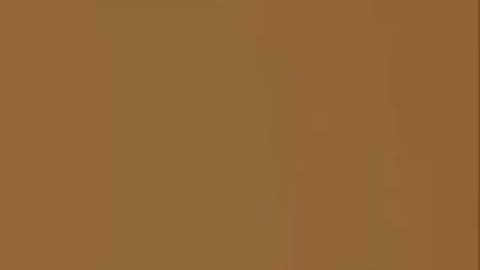 Floris & Ian - PRADATORI (snippet)