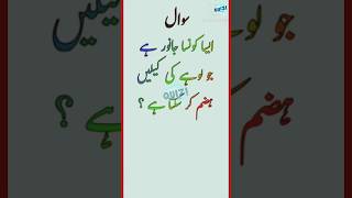 General knowledge Questions Answer #shorts #viralvideo #commonsense