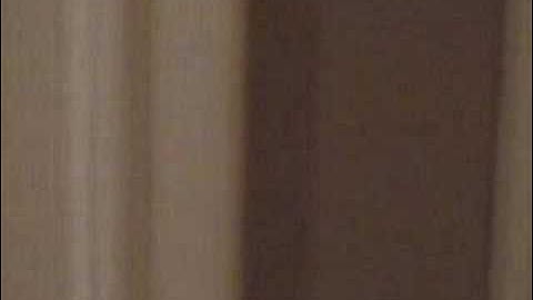 The Last Comdex Party