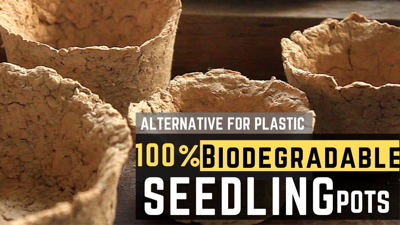 Biodegradable Plant Pots