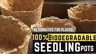 How to Make Biodegradable Pots - DIY Paper Mache Seedling Pots | PH