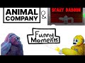 Funny animal company and scary baboon moments!