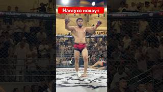 Смертельный нокаут от гориллы #mma #muradaov #ufc #харидуз #мма #кунфу #файтинг #бокс #бои #юфс