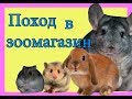 ПОХОД В ЗООМАГАЗИН/ КАК СЕМА?/БЕДНЫЕ КРЫСКИ!/НЯША ХОМЯША