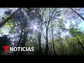 Planeta Tierra: Viajamos a un refugio de fauna silvestre en el valle de México | Noticias Telemundo