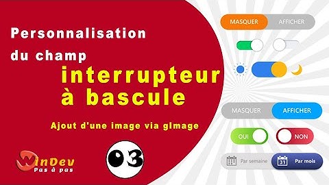 Personnalisation du champ interrupteur à bascule