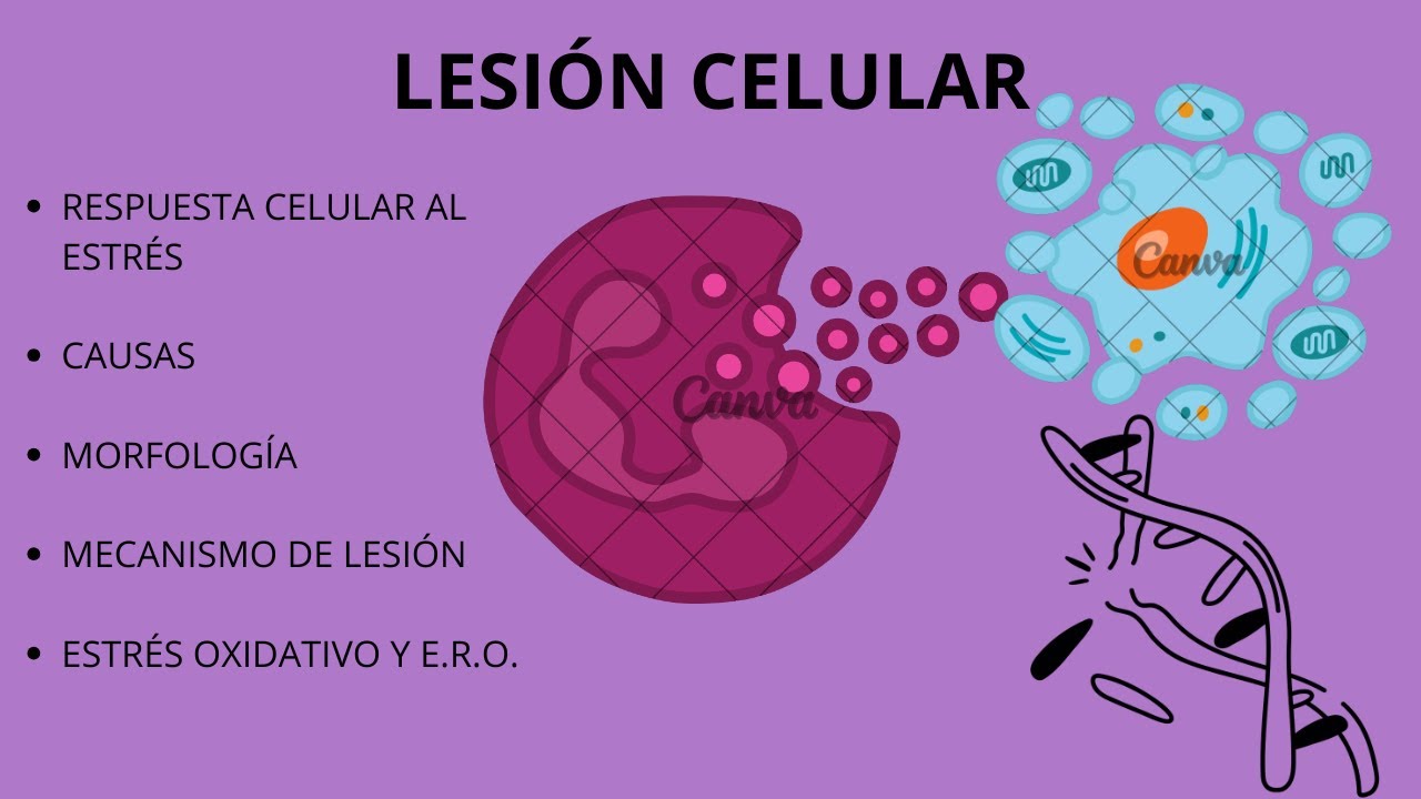 LESIÓN CELULAR (PATOLOGÍA)