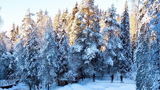 Водопады Ахвенкоски зимой