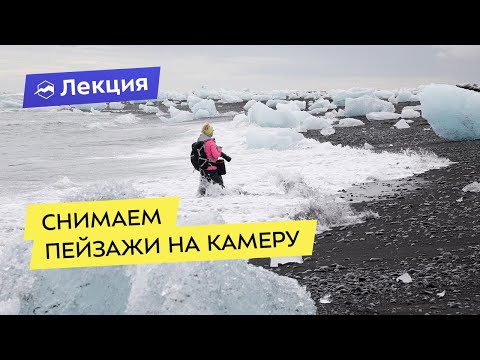 Видео: Невероятен животински свят: Зашеметяващи стенописи за животни