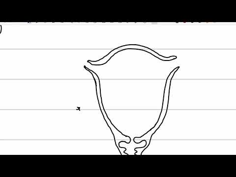 بعض رسومات فصل التكاثر