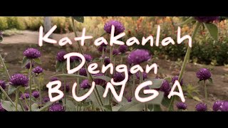 Taman Bunga Celocia II Cinematic Puisi