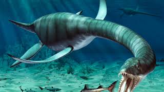 Fossil Fridays - Ep. 30 Mary Anning's Discoveries
