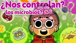 ¿El microbioma controla tu cerebro?