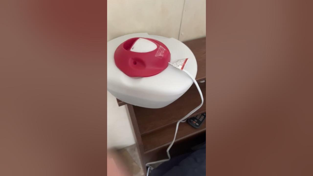 Walgreens warmest steam vaporizer after two weeks thorough review YouTube