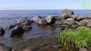 Rocky shore of Lake Ladoga Wildlife 4K Calming wave bursts by Звуки природы Павел Relaxik 624 views 8 months ago 30 minutes