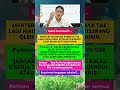 bravo pak purbaya #purbayayudhisadewa #purbaya #menkeu