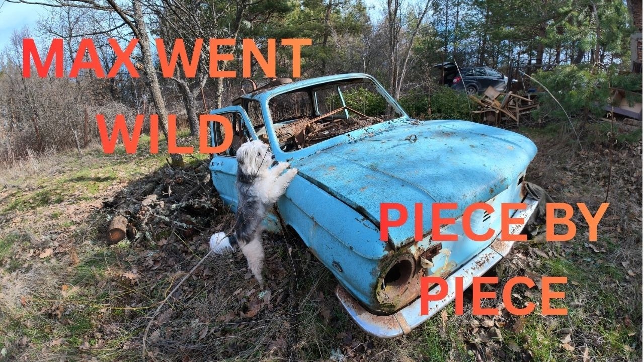 Max and I Took Apart an Entire Car… Here’s What Happened