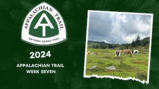 2024 Appalachian Trail Thru hike- week seven