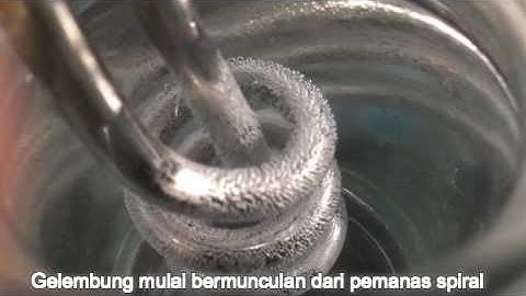 Genidea Ankhara Essa - Percobaan 1 D211 13 301