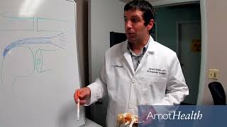 Rotator Cuff