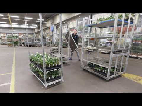 Vacature karrenbouwer planten - video from IFJ